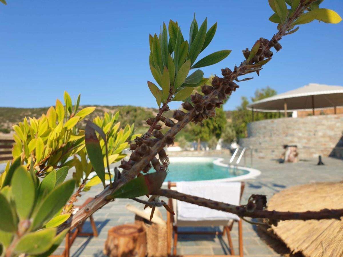 Anassa Cycladic Village 加利萨斯 外观 照片