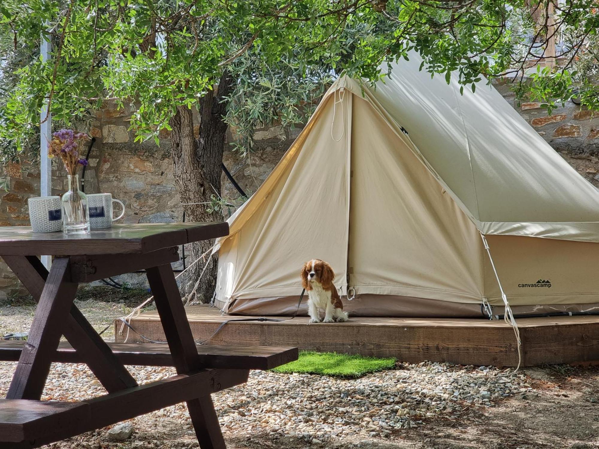 Anassa Cycladic Village 加利萨斯 客房 照片