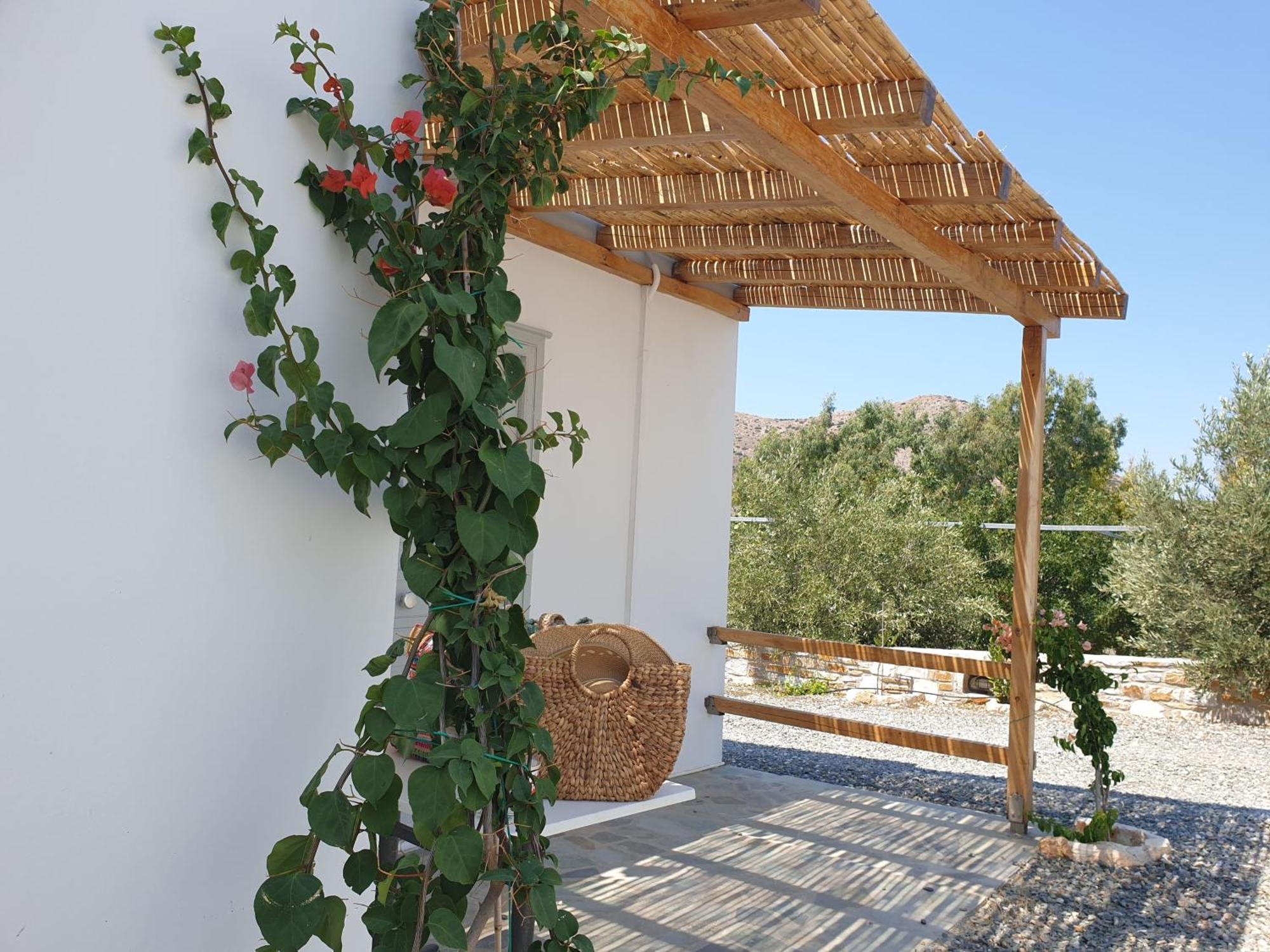 Anassa Cycladic Village 加利萨斯 客房 照片
